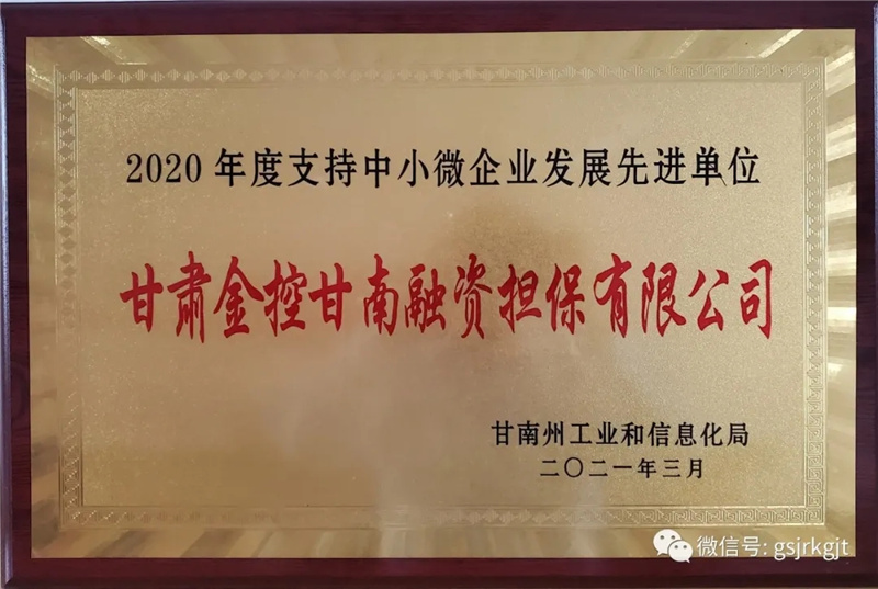 金控甘南擔(dān)保榮獲2020年度支持中小微企業(yè)發(fā)展先進(jìn)單位稱號(hào)