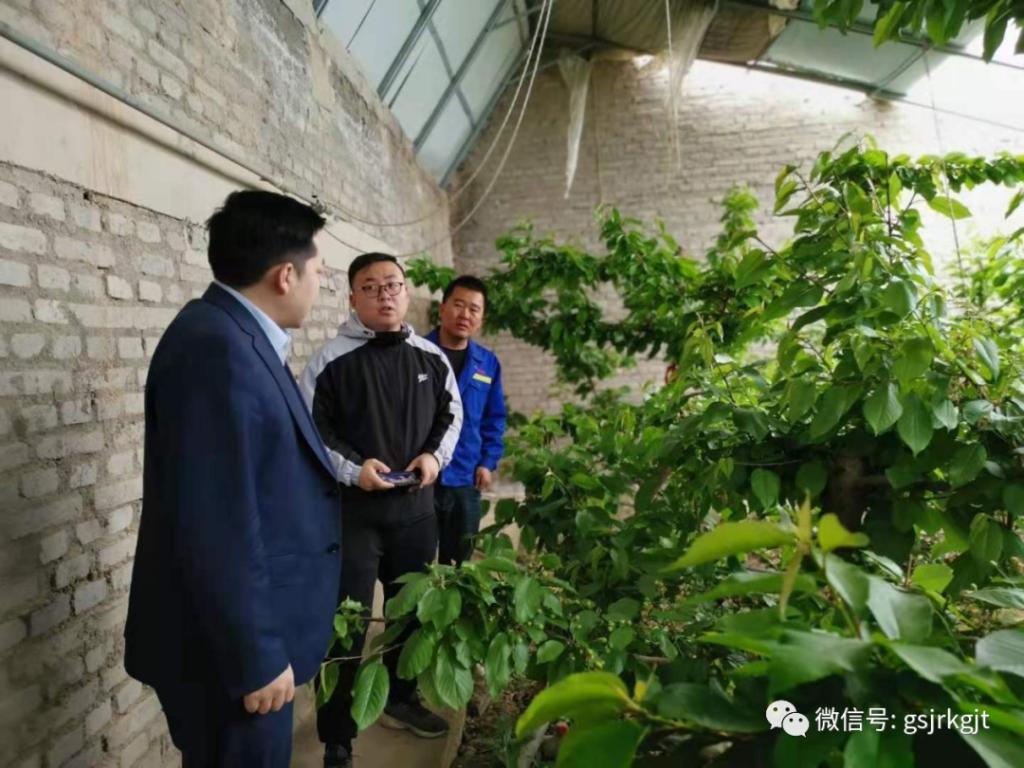 金控酒泉擔(dān)保開(kāi)展專(zhuān)項(xiàng)保后檢查工作